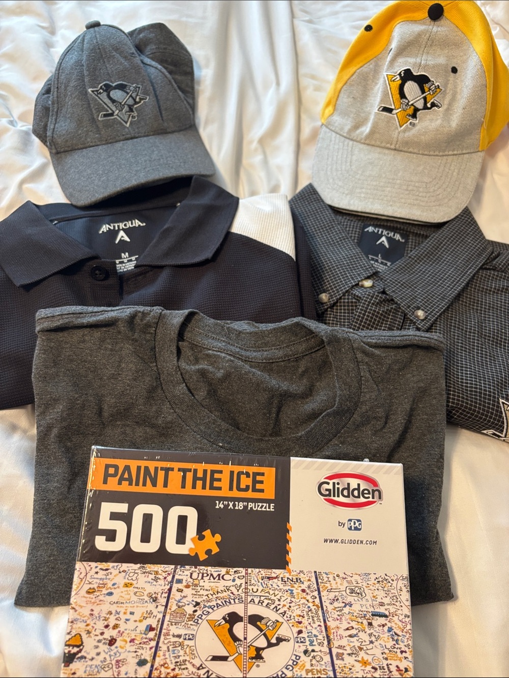 Pittsburgh Penguins, NHL logo shirts, hats puzzle